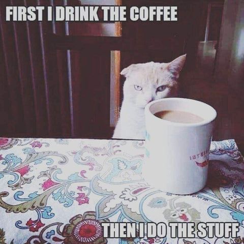 Coffee Cat.jpg